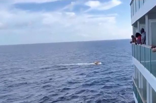 ‘Holy crap:’ Horror as woman plummets overboard into ocean from 10th deck of cruise ship