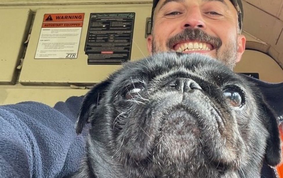Driver stops train to rescue runaway pug before tearful reunion with owners