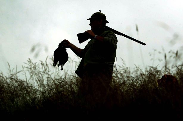 Ban cruel snares used to kill animals as Glorious Twelfth kicks off shooting season