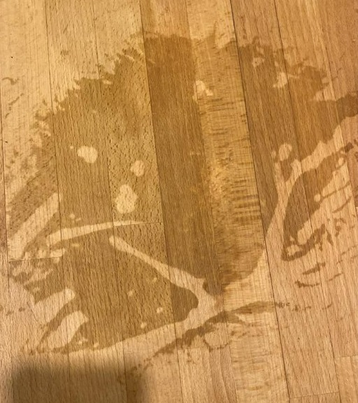 Cleaning fans reverse stain on wooden table with 65p product found in your kitchen cupboard – & the results are amazing