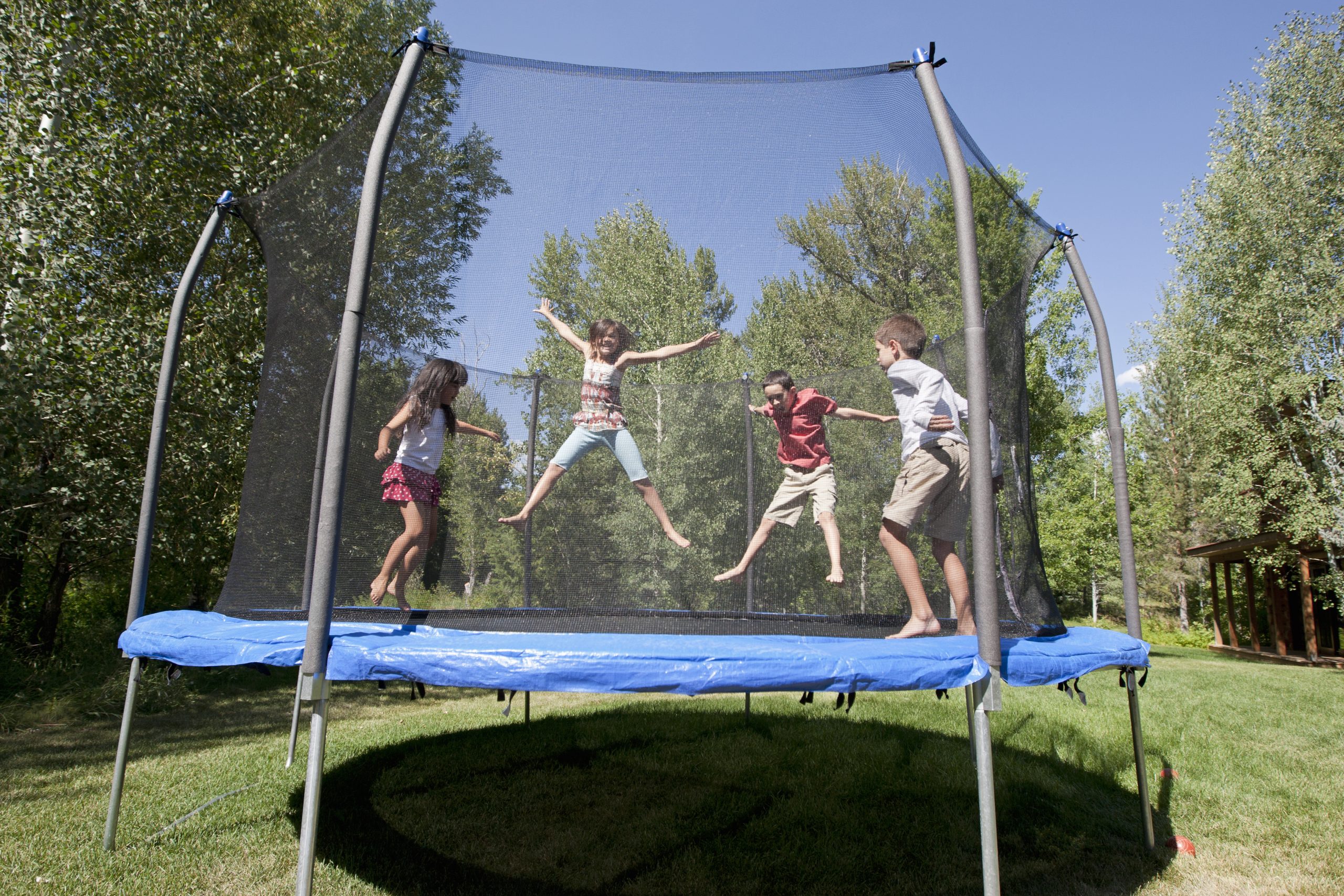 I’m a gardening expert, there’s an easy mistake that could land you a £500 fine – it’s bad news if you have a trampoline
