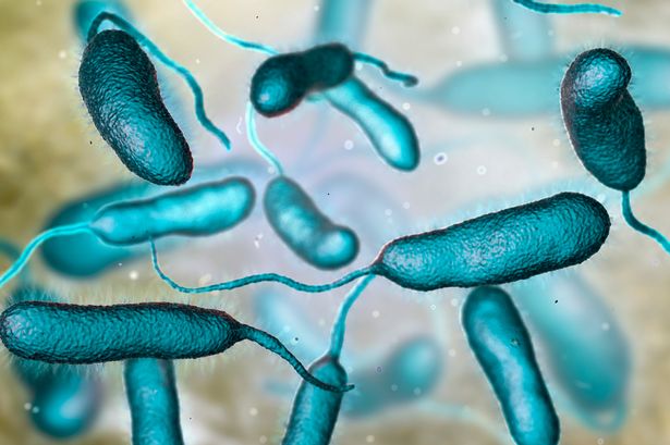 Warnings issued after three die from grim flesh-eating bacteria