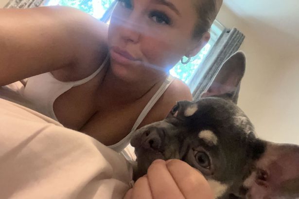 Woman ‘bashed by balaclava-clad thieves’ who ran off with her beloved French bulldog