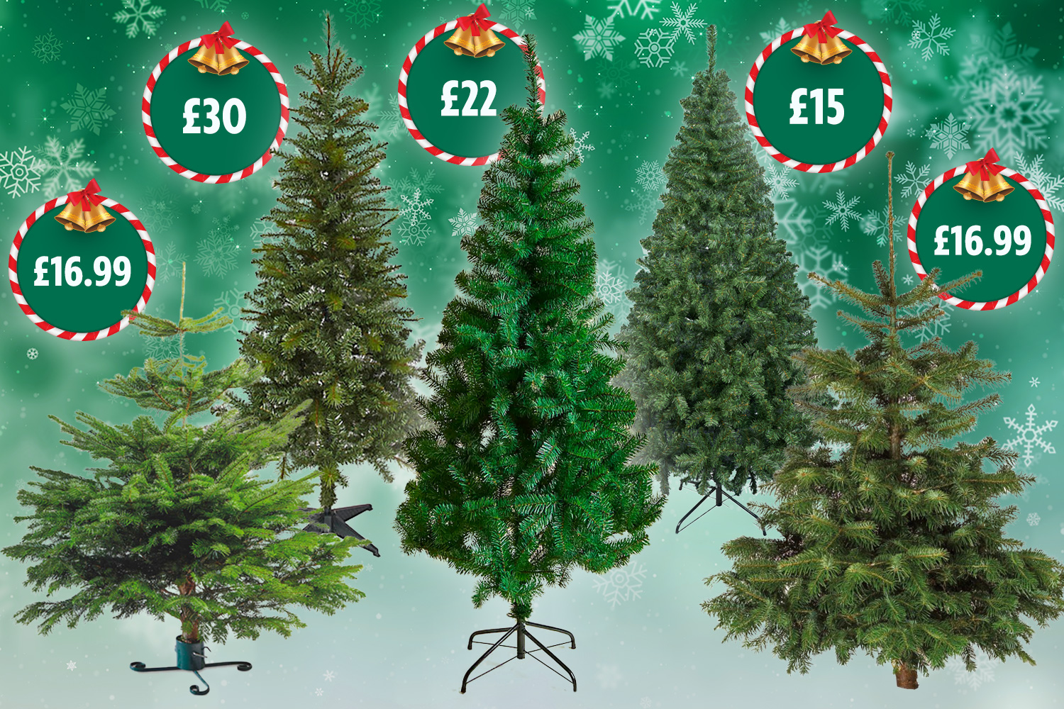 The cheapest shop to buy Christmas trees this week as Aldi and Lidl firs hit shelves – and prices start from just £15