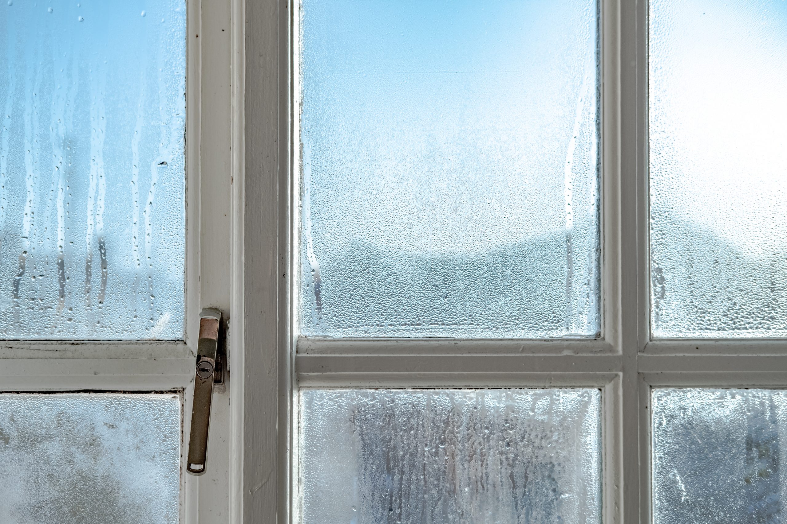 ‘No gadgets needed!’ Banish condensation on windows and stop black mould for less than £2