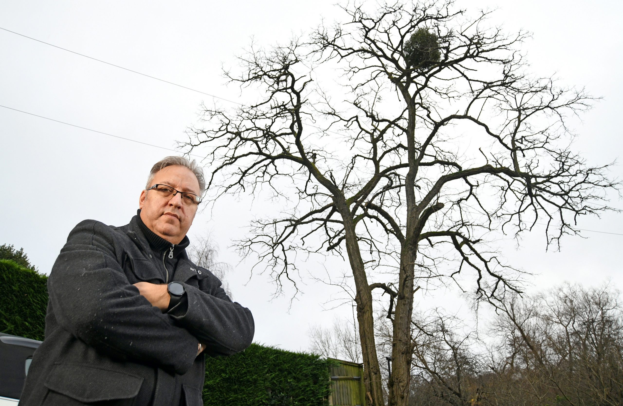 We saved £3k to finally chop down 14m tree on our front drive – only for our neighbour to report us to council & stop us