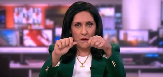 BBC News host Maryam Moshiri baffles fans with bizarre new on-screen stunt months after flipping middle finger to camera