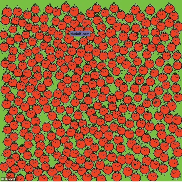 Everyone can see the tomatoes but you may have a high IQ if you can spot the three hidden apples in less than 10 seconds