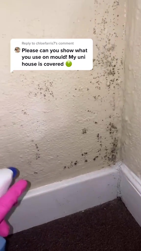 I get awful mould in my bedroom but my three part hack gets rid of it straight away – people beg for my secret
