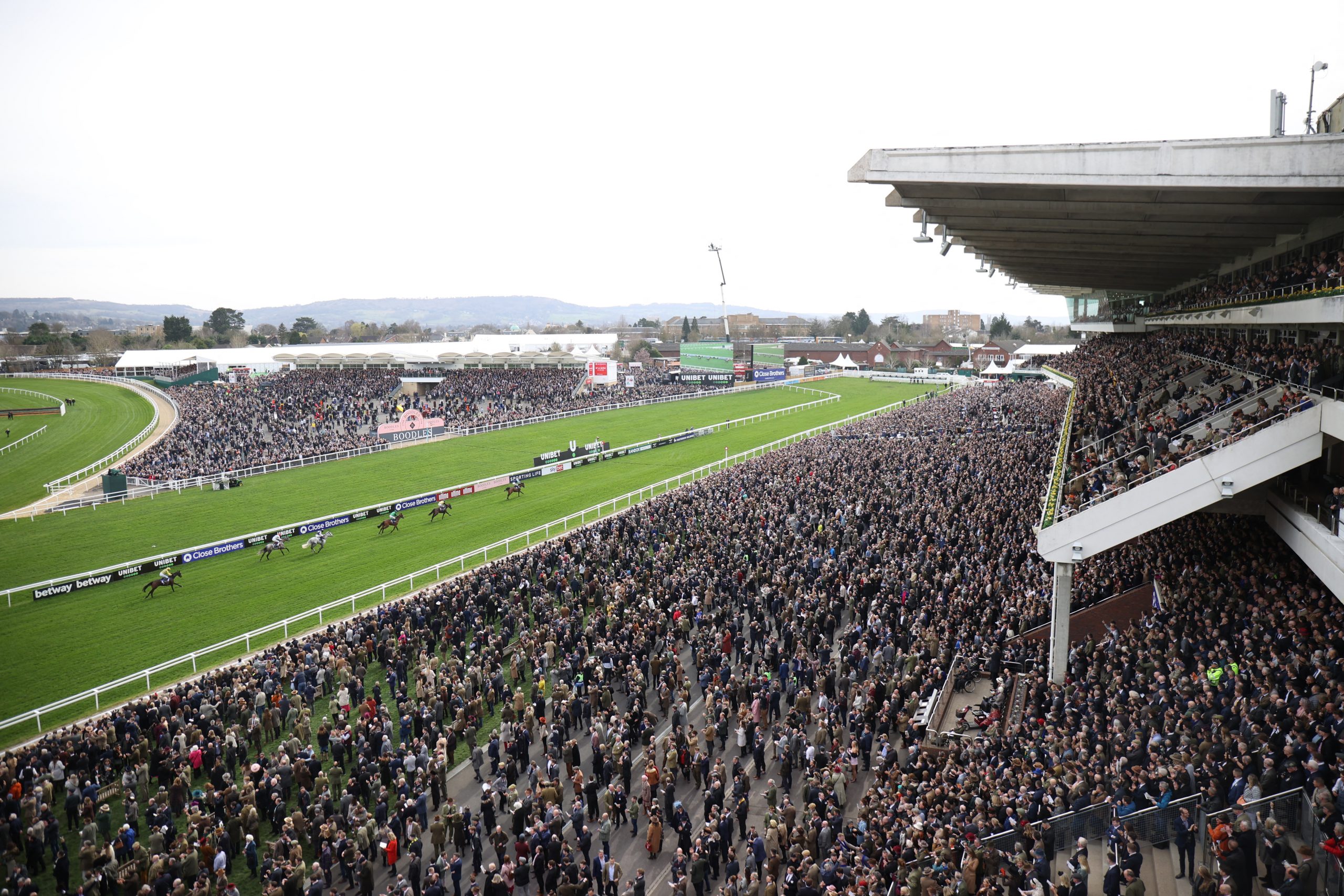 Cheltenham Festival free bets and sign up deals 2024: Best new customer offers available