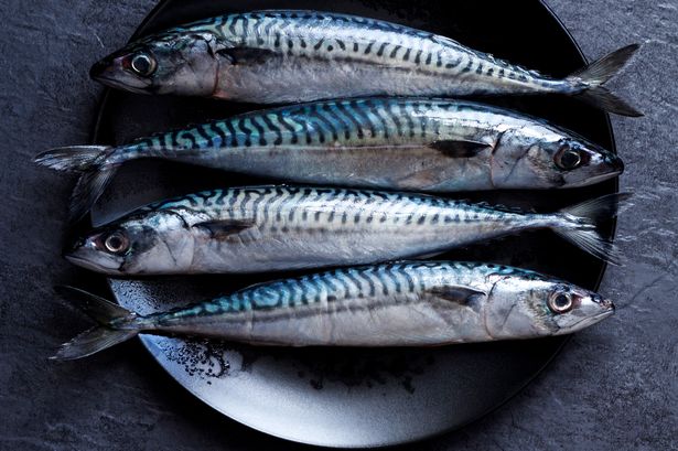 Eating herring and sardines instead of red meat ‘could save 750,000 lives a year’