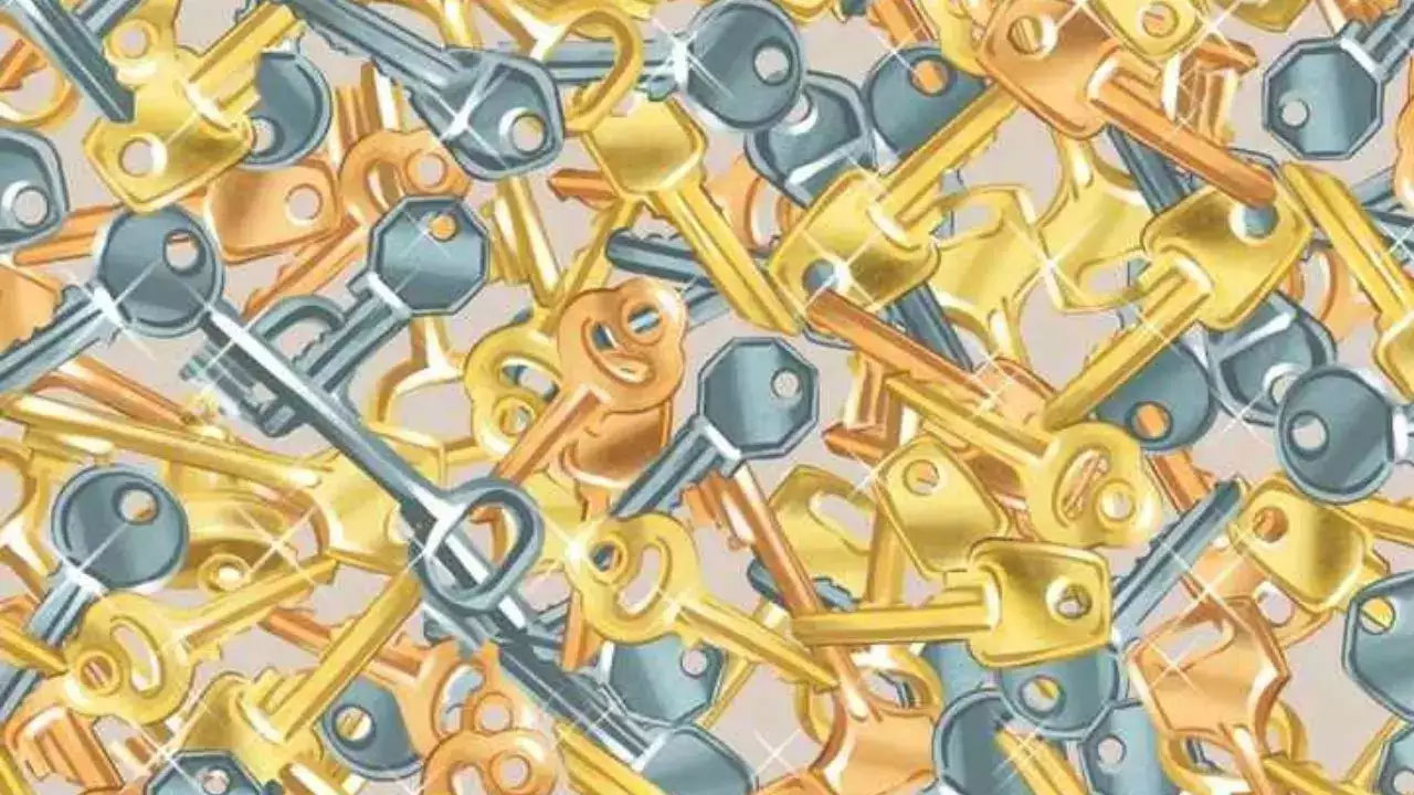 Everyone can see the keys in the picture – but you have 20/20 vision if you spot the hidden bell in 10 seconds