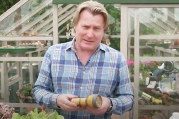 Gardener’s ‘trick’ protects plants from slugs by ‘dehydrating’ them – and it costs nothing