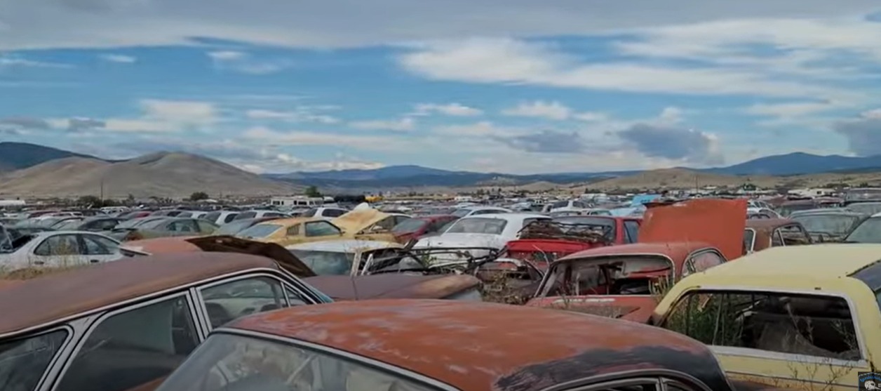 ‘It’s been here since the 1970s’, cries petrolhead at car graveyard with iconic yellow buses & battered vintage vans