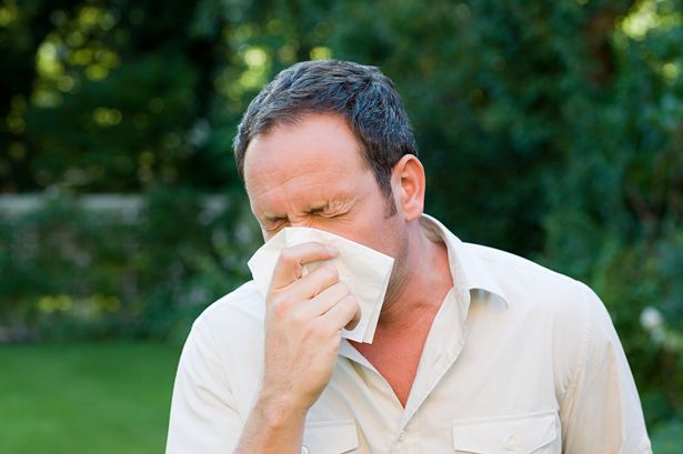 Nutritionist shares five surprising foods that can help ease worst hay fever symptoms