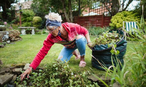 Spring jobs to avoid completing ‘too early’ or run the risk of ‘long-term’ garden damage