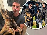 Simon Cowell hires Britain’s Got Talent star to help tame wild pet German Shepherd: ‘She’s a little bit naughty’