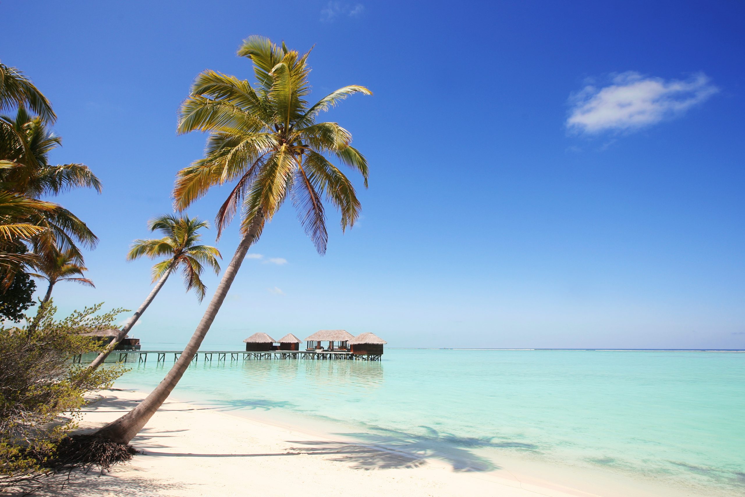 The clever ways to visit Maldives on a budget – with £4 meals and lesser-know local islands