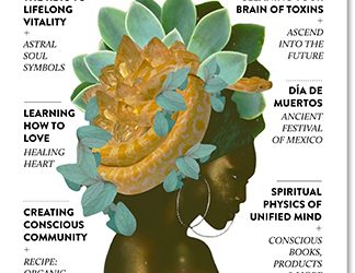 Fall 2020 Issue Out Now