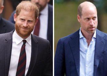 Prince Harry mocks Prince William with ‘intentional’ stunt amid title row