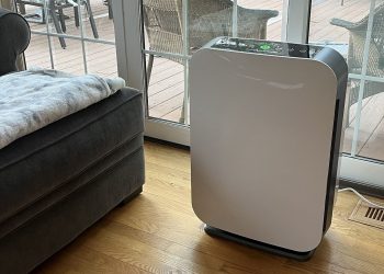 5 things to look for in an air purifier for hay fever