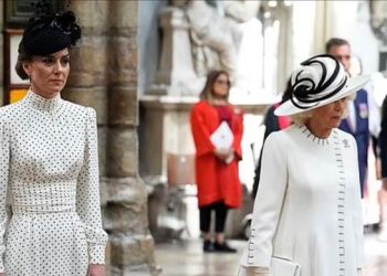 Princess Kate, Queen Camilla display royal solidarity to quash rumours