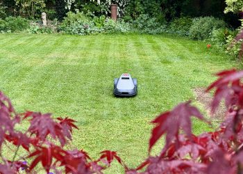 I tested the Eufy E15 robot lawn mower, and it’s so easy to use even technophobes will love it