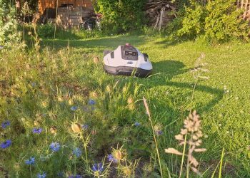 This compact lawnbot saved me from a summer of strenuous mowing