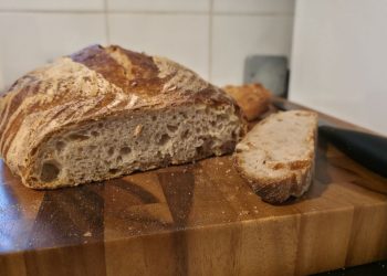 This foldable-bread-proofer-meets-slow-cooker is my new favorite kitchen gadget