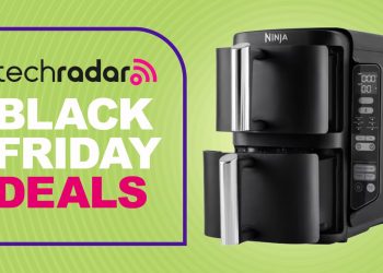 Today’s best Black Friday air fryer deals: up to 50% off Ninja, Philips and Dreo
