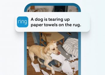 Your Ring camera is about to get smarter with Single Event Alert – and it should mean fewer notifications