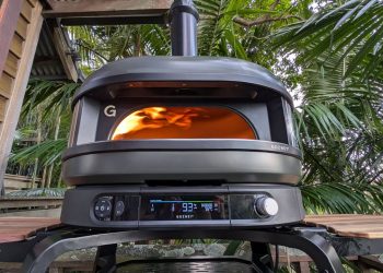 The Gozney Dome (Gen 2) might be the ultimate backyard pizza oven – but its pro features come with a steep price tag