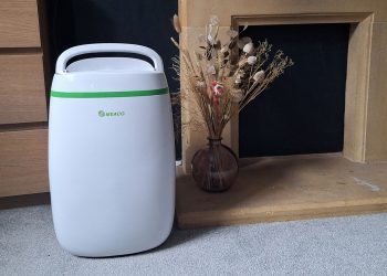 What are the pros and cons of using a dehumidifier in the winter?