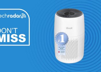 This £40 gadget could be the key to better air quality in your home