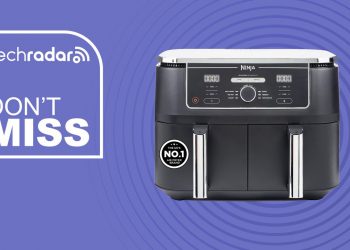 When my friend’s oven broke she turned to an air fryer deal like this one from Ninja