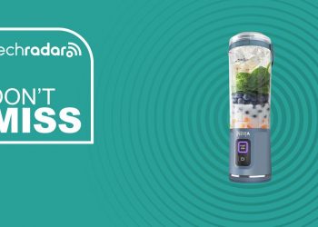 Check out the Ninja Blast if you want a ‘fun portable blender’ for cheap