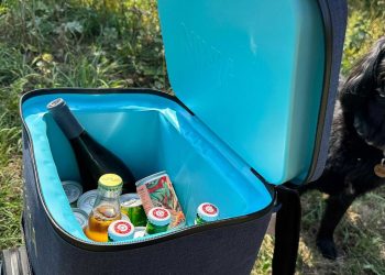 11 of the best coolers to keep your food and drinks chilled in the heat — recommended by a former outdoors editor