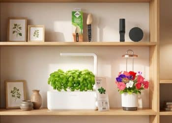6 smart plant-care gadgets that will help your houseplants thrive, with minimal effort and expertise required