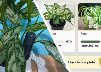 ‘Eva Green is not vibing with her surroundings’ — can these smart sensors help me keep my houseplants alive?