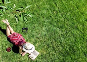 The top five new books to read this spring – one is ‘controversial’ memoir