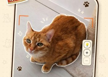 ‘Pokemon Go for cats’ game CatchCat returns after sudden removal of viral hit