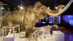 ‘True jewel’ museum and gallery wins UK award