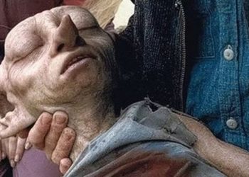 Potterheads show how far they will go to protect Dobby’s grave
