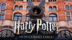 Harry Potter play producer says cost of living made two-part show ‘impossible’